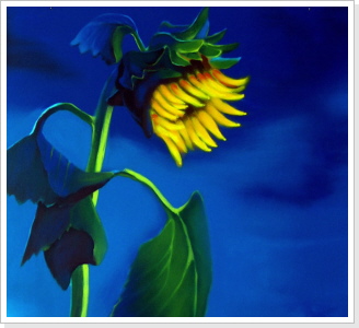 "Sonne nach dem Regen"